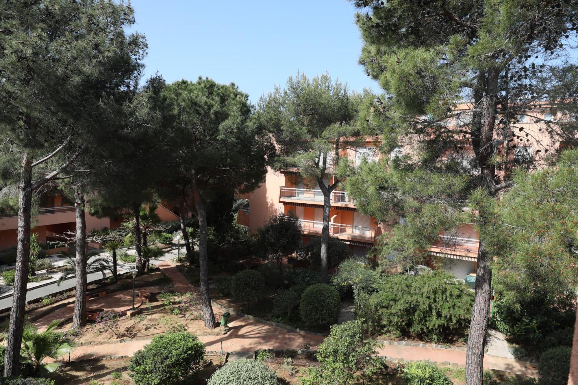 L'Amiraute 150M De La Plage Bormes-les-Mimosas Kültér fotó
